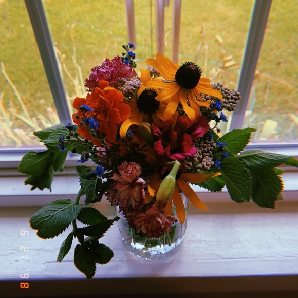 sommerdaydreams